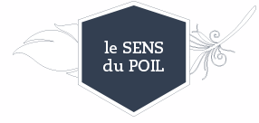 Capture d’écran 2019-09-13 à 00.48.39.png